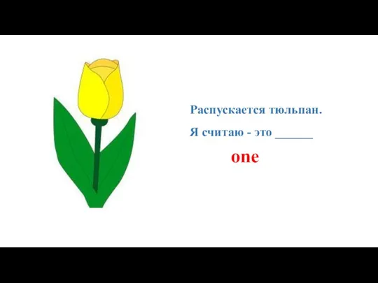 Распускается тюльпан. Я считаю - это ______ one