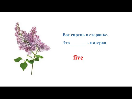 Вот сирень в сторонке. Это _______ - пятерка five