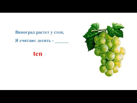 Виноград растет у стен, Я считаю: десять - ______ ten