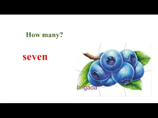 seven