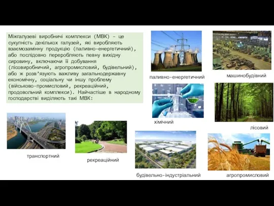 Міжгалузеві виробничі комплекси (МВК) – це сукупність декількох галузей, які виробляють взаємозамінну