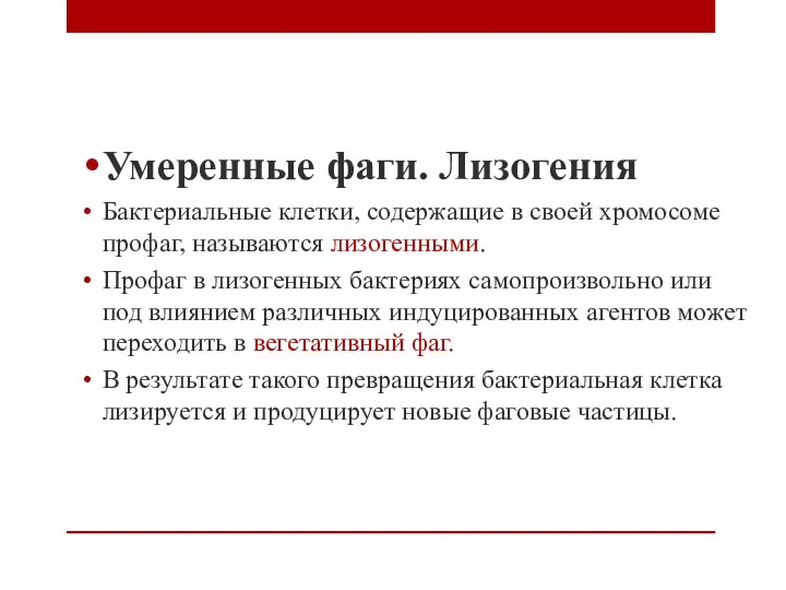 Умеренные фаги. Лизогения Бактериальные клетки, содержащие в своей хромосоме профаг, называются лизогенными.