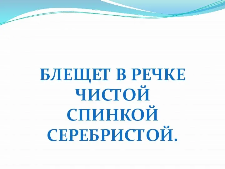 БЛЕЩЕТ В РЕЧКЕ ЧИСТОЙ СПИНКОЙ СЕРЕБРИСТОЙ.