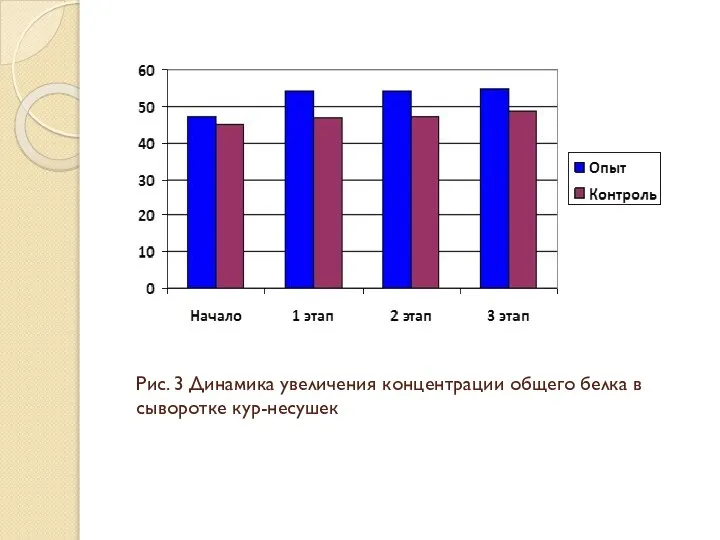 Рис. 3 Динамика увеличения концентрации общего белка в сыворотке кур-несушек