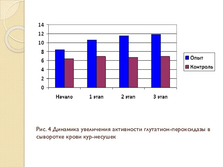 Рис. 4 Динамика увеличения активности глутатион-пероксидазы в сыворотке крови кур-несушек