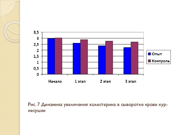 Рис. 7 Динамика увеличения холестерина в сыворотке крови кур-несушек