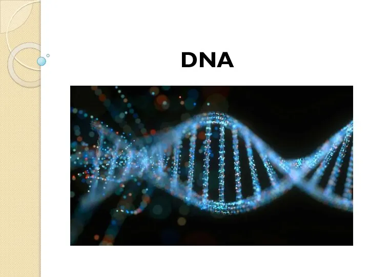 11. DNA