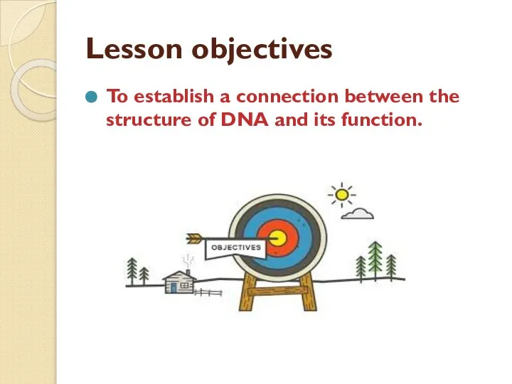 Lesson objectives To establish a connection between the structure of DNA and its function.