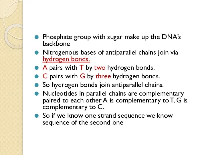 Phosphate group with sugar make up the DNA’s backbone Nitrogenous bases of