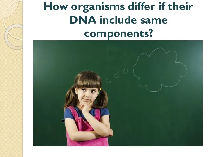 How organisms differ if their DNA include same components?