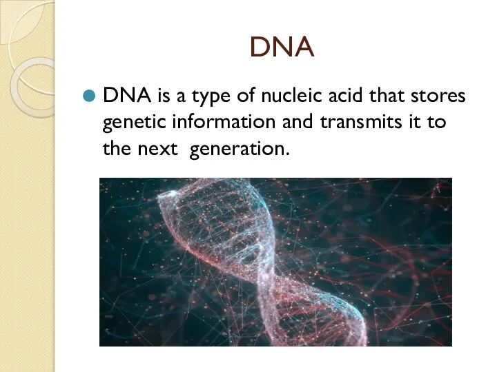 DNA DNA is a type of nucleic acid that stores genetic information