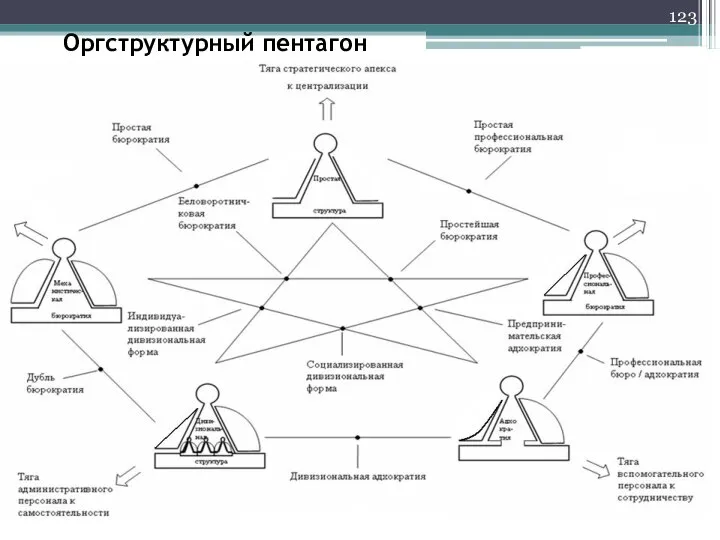 Оргструктурный пентагон