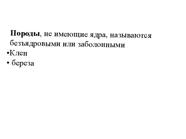 Породы, не имеющие ядра, называются безъядровыми или заболонными Клен береза