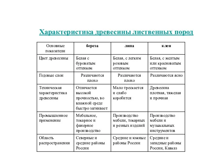 Характеристика древесины лиственных пород