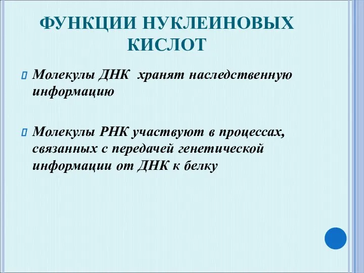 ФУНКЦИИ НУКЛЕИНОВЫХ КИСЛОТ Молекулы ДНК хранят наследственную информацию Молекулы РНК участвуют в