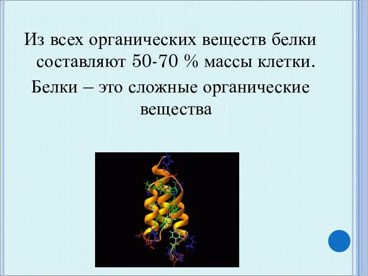 Из всех органических веществ белки составляют 50-70 % массы клетки. Белки – это сложные органические вещества