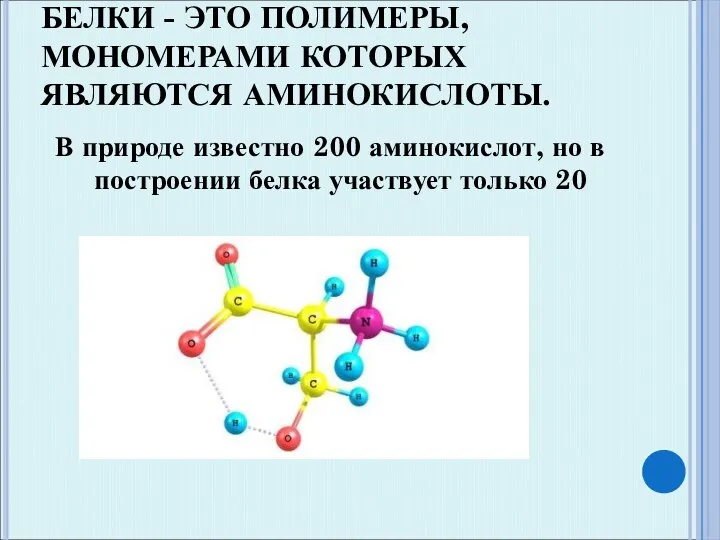 БЕЛКИ - ЭТО ПОЛИМЕРЫ, МОНОМЕРАМИ КОТОРЫХ ЯВЛЯЮТСЯ АМИНОКИСЛОТЫ. В природе известно 200