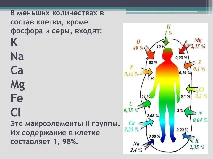 В меньших количествах в состав клетки, кроме фосфора и серы, входят: K