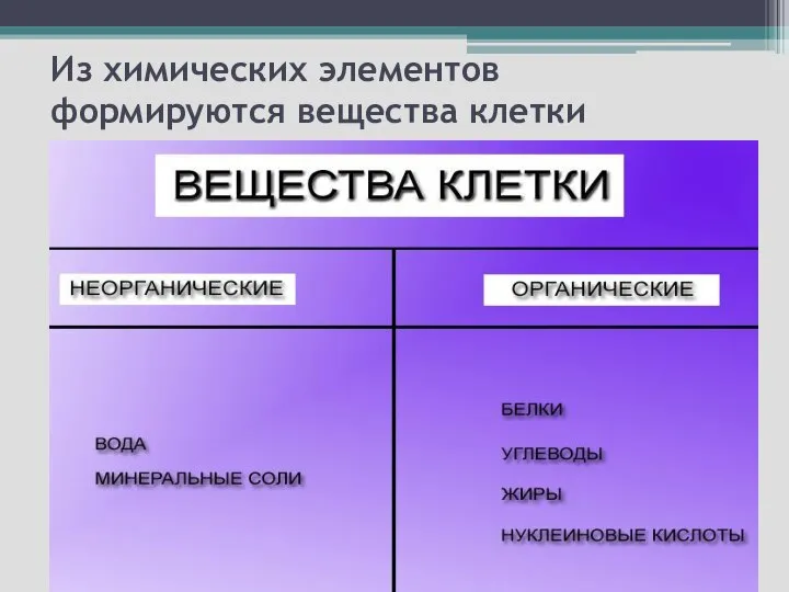 Из химических элементов формируются вещества клетки