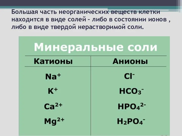 Большая часть неорганических веществ клетки находится в виде солей – либо в