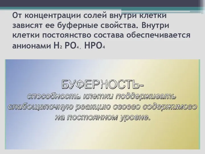 От концентрации солей внутри клетки зависят ее буферные свойства. Внутри клетки постоянство