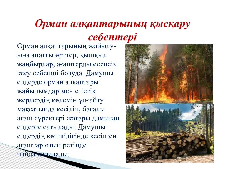 Орман алқаптарының қысқару себептері Орман алқаптарының жойылу-ына апатты өрттер, қышқыл жаңбырлар, ағаштарды