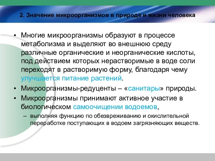 2. Значение микроорганизмов в природе и жизни человека Многие микроорганизмы образуют в