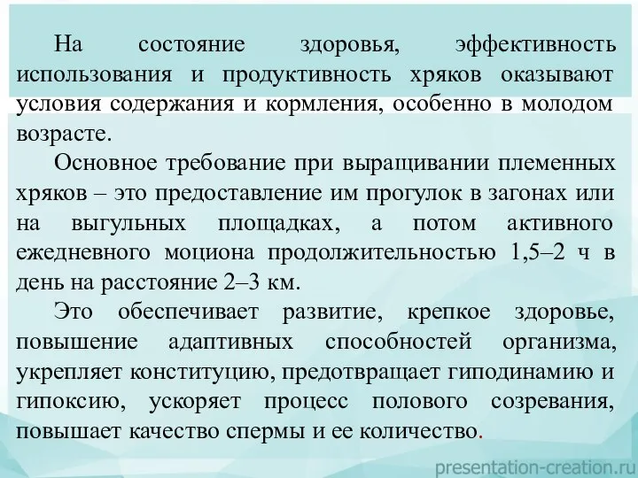 На состояние здоровья, эффективность использования и продуктивность хряков оказывают условия содержания и