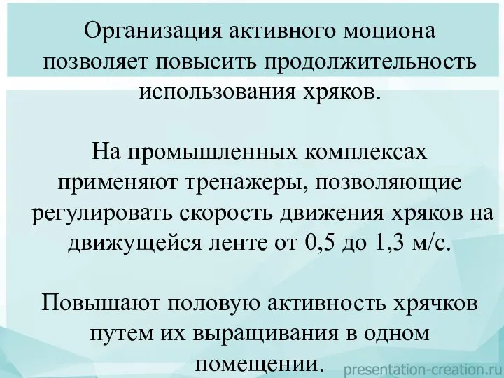 Организация активного моциона позволяет повысить продолжительность использования хряков. На промышленных комплексах применяют