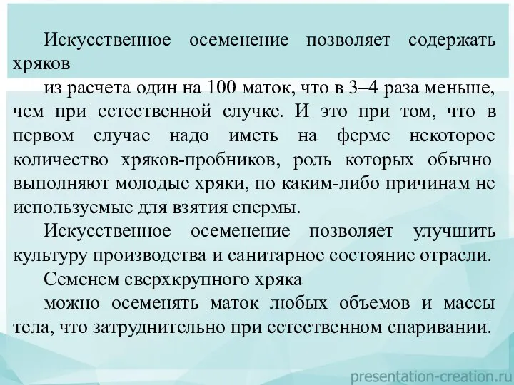 Искусственное осеменение позволяет содержать хряков из расчета один на 100 маток, что