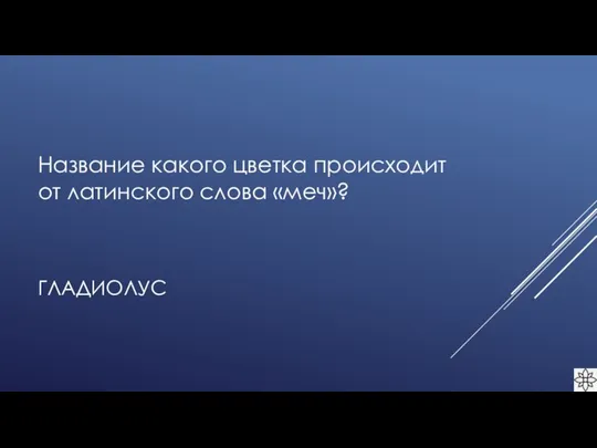 ГЛАДИОЛУС Название какого цветка происходит от латинского слова «меч»?