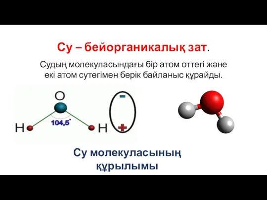 Су – бейорганикалық зат. Судың молекуласындағы бір атом оттегі және екі атом