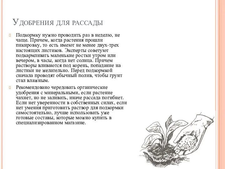 Удобрения для рассады Подкормку нужно проводить раз в неделю, не чаще. Причем,