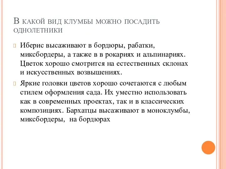 В какой вид клумбы можно посадить однолетники Иберис высаживают в бордюры, рабатки,