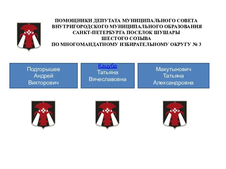 ПОМОЩНИКИ ДЕПУТАТА МУНИЦИПАЛЬНОГО СОВЕТА ВНУТРИГОРОДСКОГО МУНИЦИПАЛЬНОГО ОБРАЗОВАНИЯ САНКТ-ПЕТЕРБУРГА ПОСЕЛОК ШУШАРЫ ШЕСТОГО СОЗЫВА