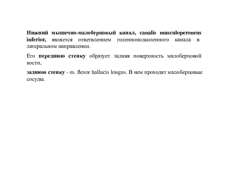 Нижний мышечно-малоберцовый канал, canalis musculoperoneus inferior, является ответвлением голенноподколенного канала в латеральном