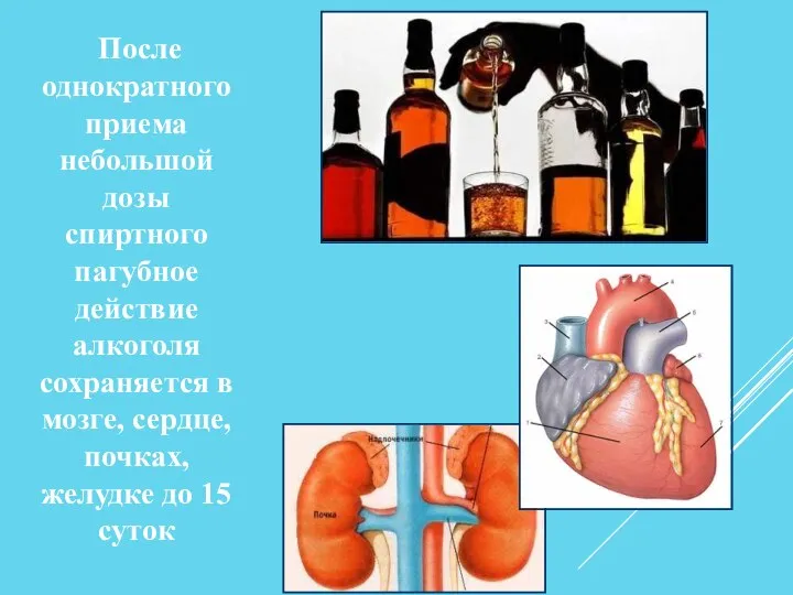 После однократного приема небольшой дозы спиртного пагубное действие алкоголя сохраняется в мозге,