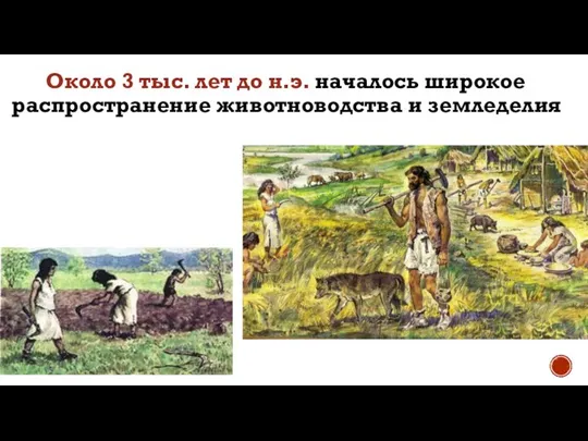 Около 3 тыс. лет до н.э. началось широкое распространение животноводства и земледелия