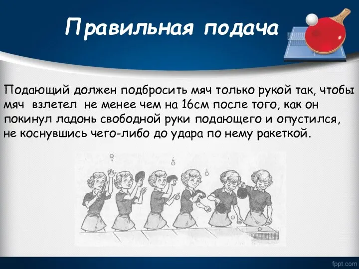 Правильная подача Подающий должен подбросить мяч только рукой так, чтобы мяч взлетел