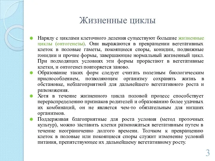 Жизненные циклы Наряду с циклами клеточного деления существуют большие жизненные циклы (онтогенезы).