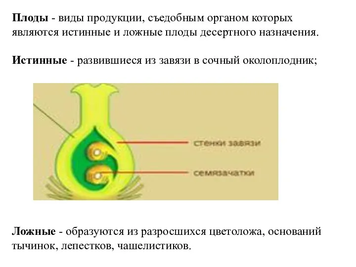 Плоды - виды продукции, съедобным органом которых являются истинные и ложные плоды