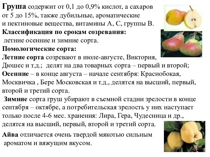 Груша содержит от 0,1 до 0,9% кислот, а сахаров от 5 до