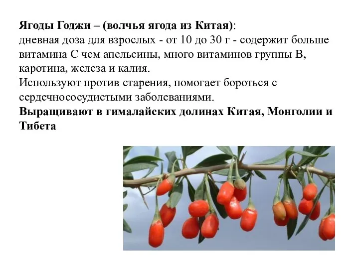 Ягоды Годжи – (волчья ягода из Китая): дневная доза для взрослых -