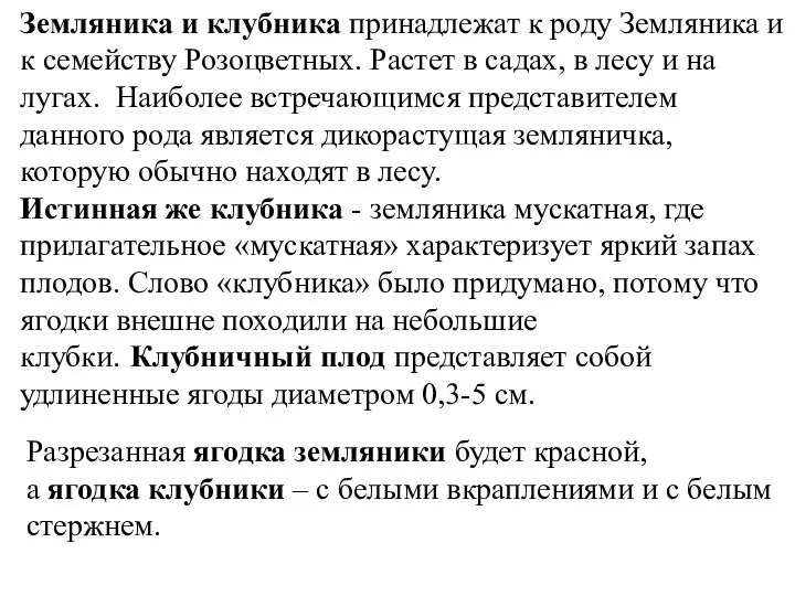 Земляника и клубника принадлежат к роду Земляника и к семейству Розоцветных. Растет