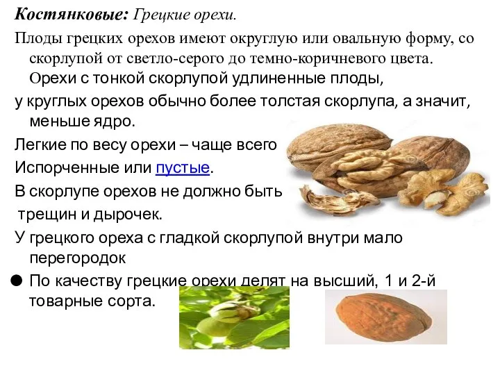 Костянковые: Грецкие орехи. Плоды грецких орехов имеют округлую или овальную форму, со