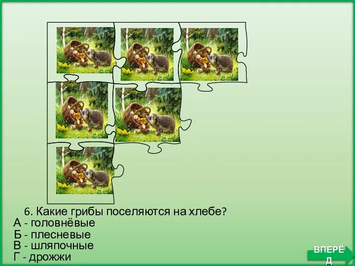 Б - плесневые 6. Какие грибы поселяются на хлебе? А - головнёвые