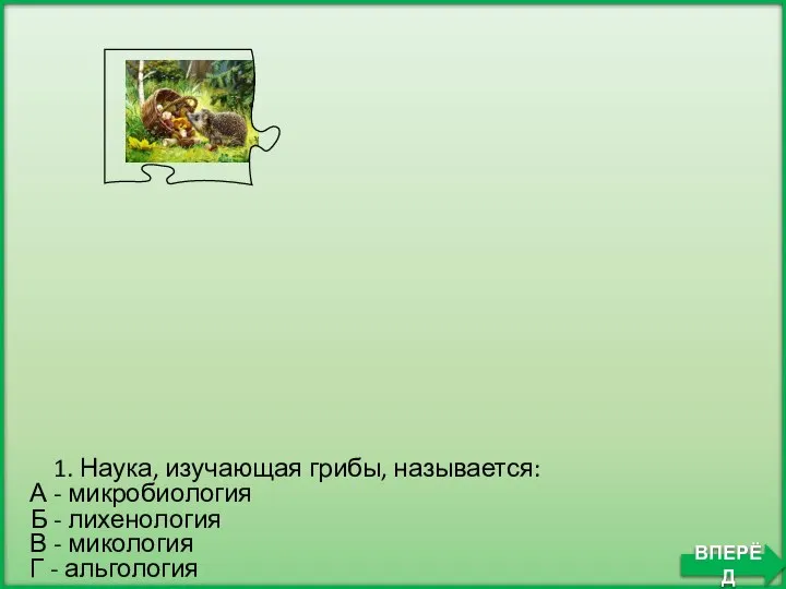 Б - лихенология 1. Наука, изучающая грибы, называется: А - микробиология В