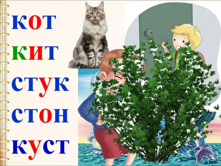 кот кит стук стон куст