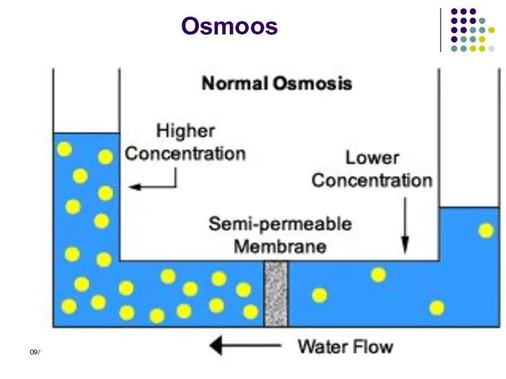 09/18/13 Osmoos