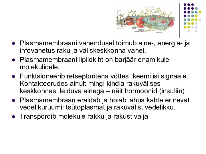 Plasmamembraani vahendusel toimub aine-, energia- ja infovahetus raku ja väliskeskkonna vahel. Plasmamembraani